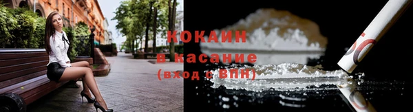 соль ск Дмитровск