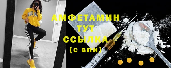 соль ск Дмитровск