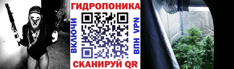 Канабис гибрид  дарнет шоп  Емва 